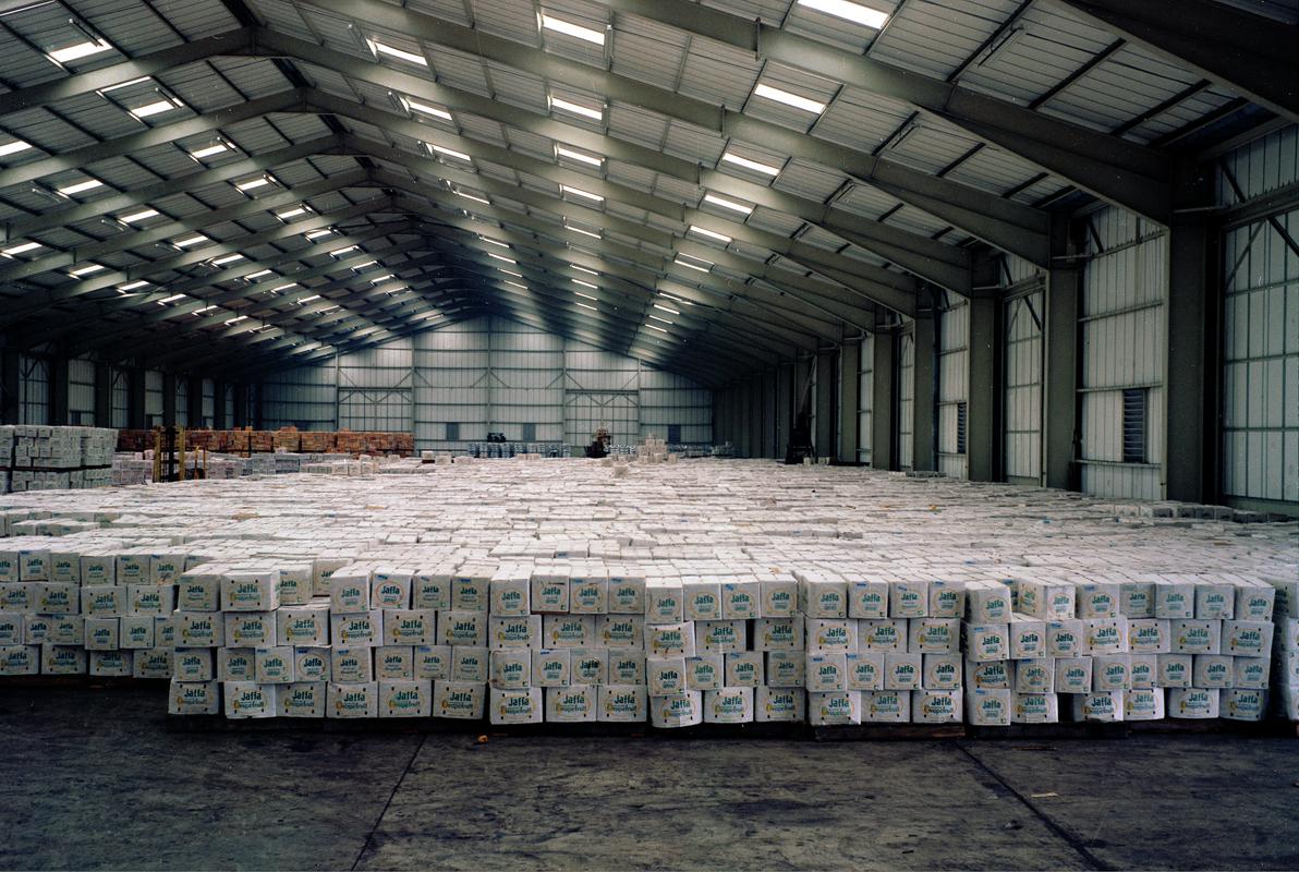 Cardiff Docks, negative