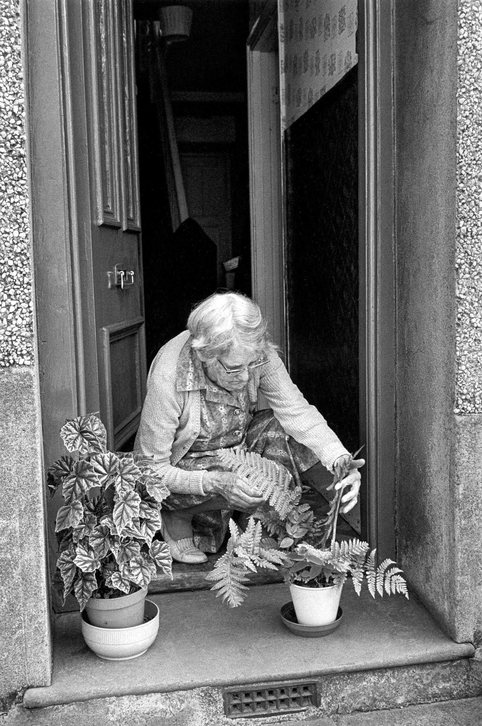 Attending house plants on the front step. Porthmadog, Wales