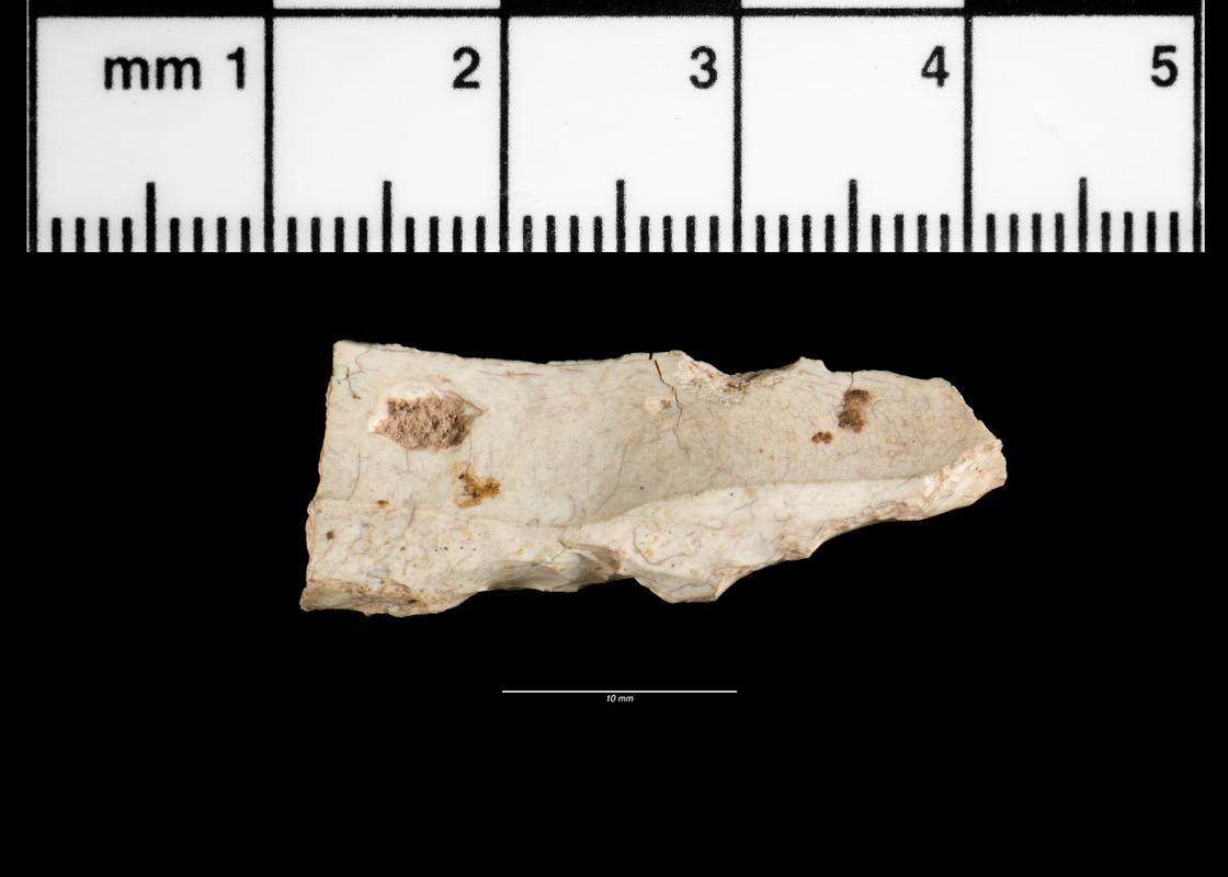 Upper palaeolithic Abruptly backed points