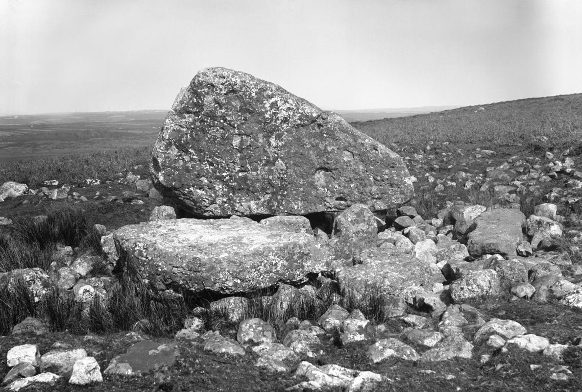 Photographic Negative