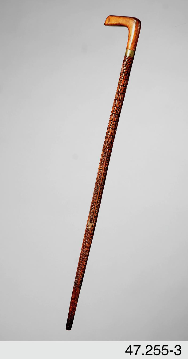 Walking stick