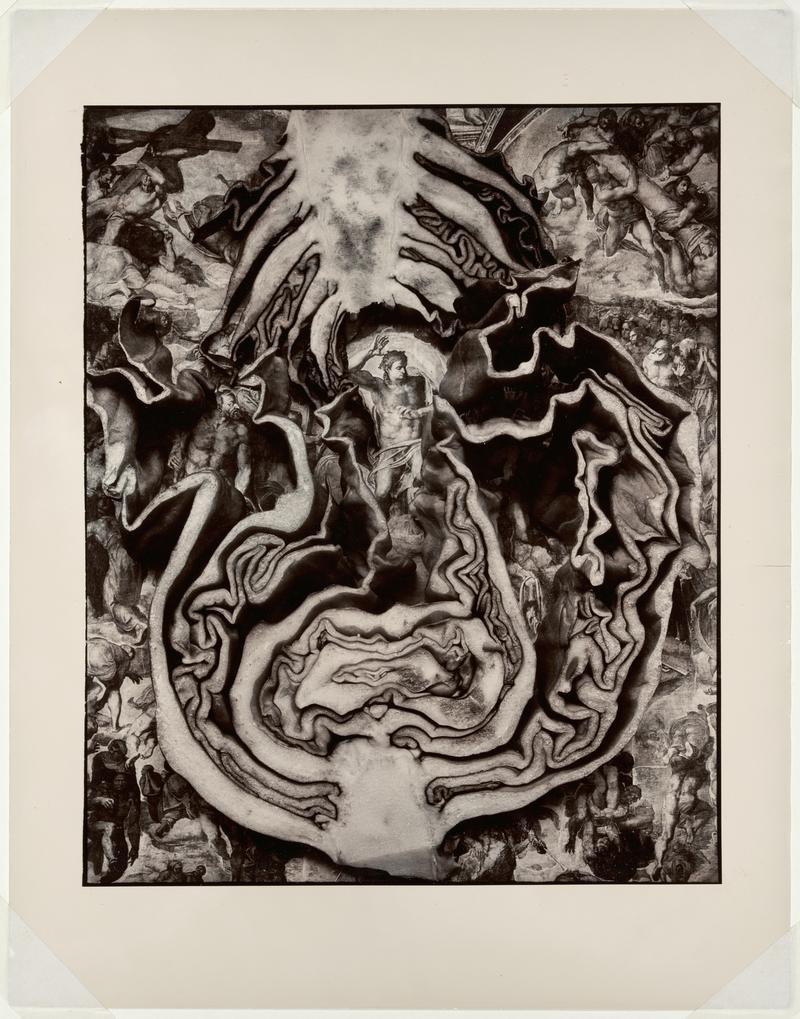 Untitled (Cabbage over image of Michelangelo's 'last judgement' from the Sistine Chapel)