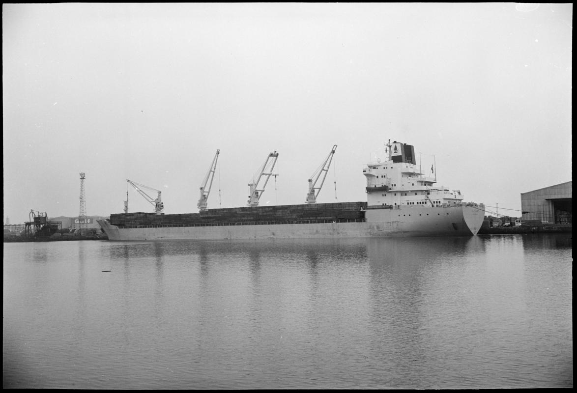 M.V. VESTLAND, negative