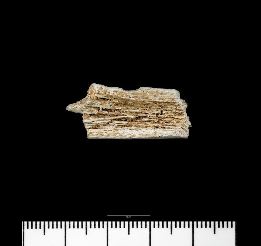 Middle Neolithic cremated human remains