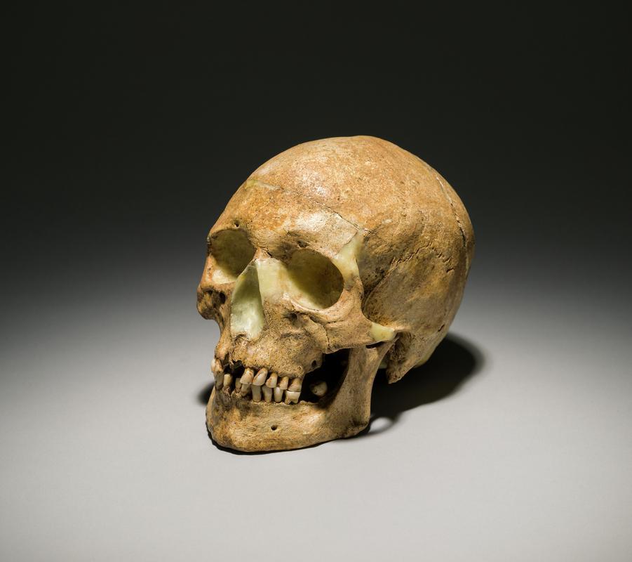 Early Medieval human remains