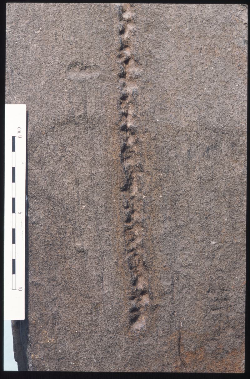 ECM: Mynydd Merthyr; pillar stone