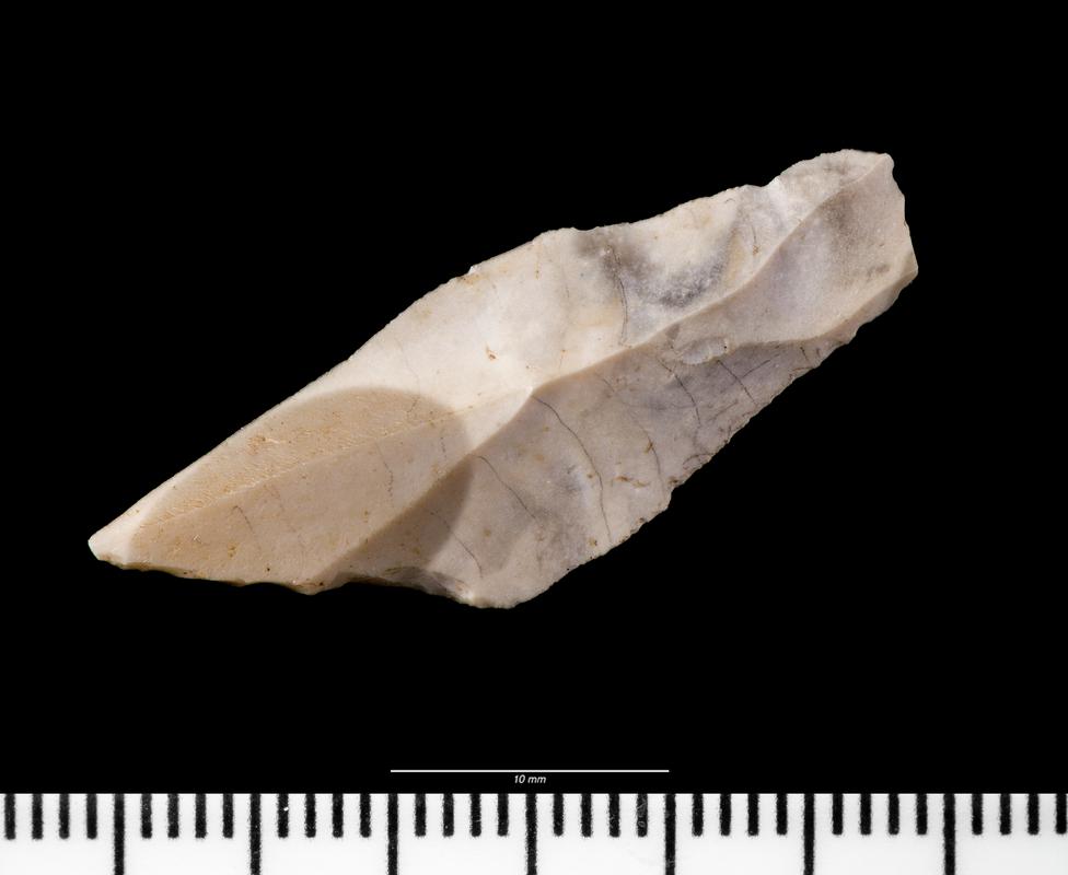 Early Mesolithic flint microlith