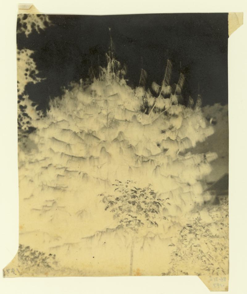 Paper negative