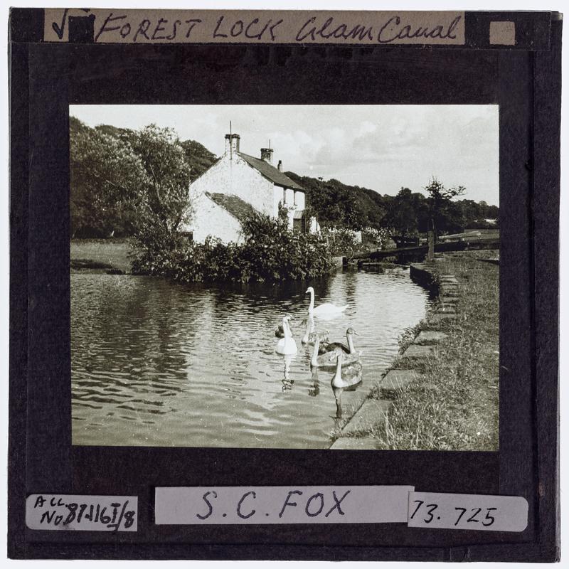 Lantern slide