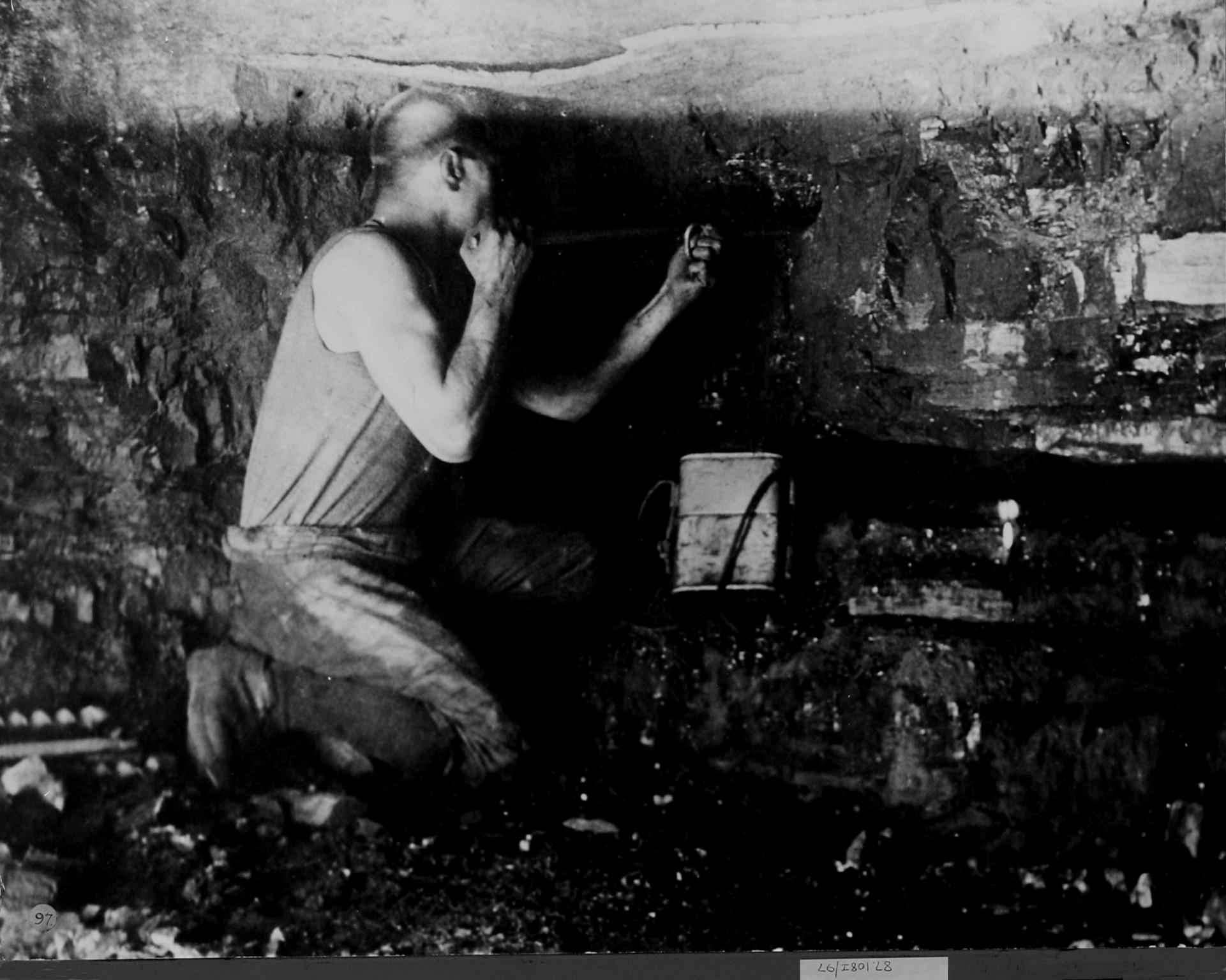 Coal miner, photograph