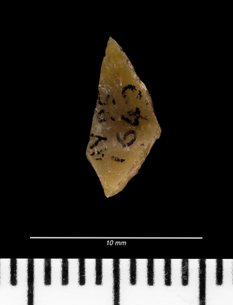 Mesolithic flint microlith