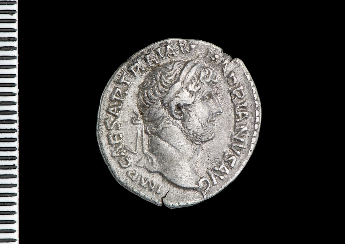 silver denarius (obv.)