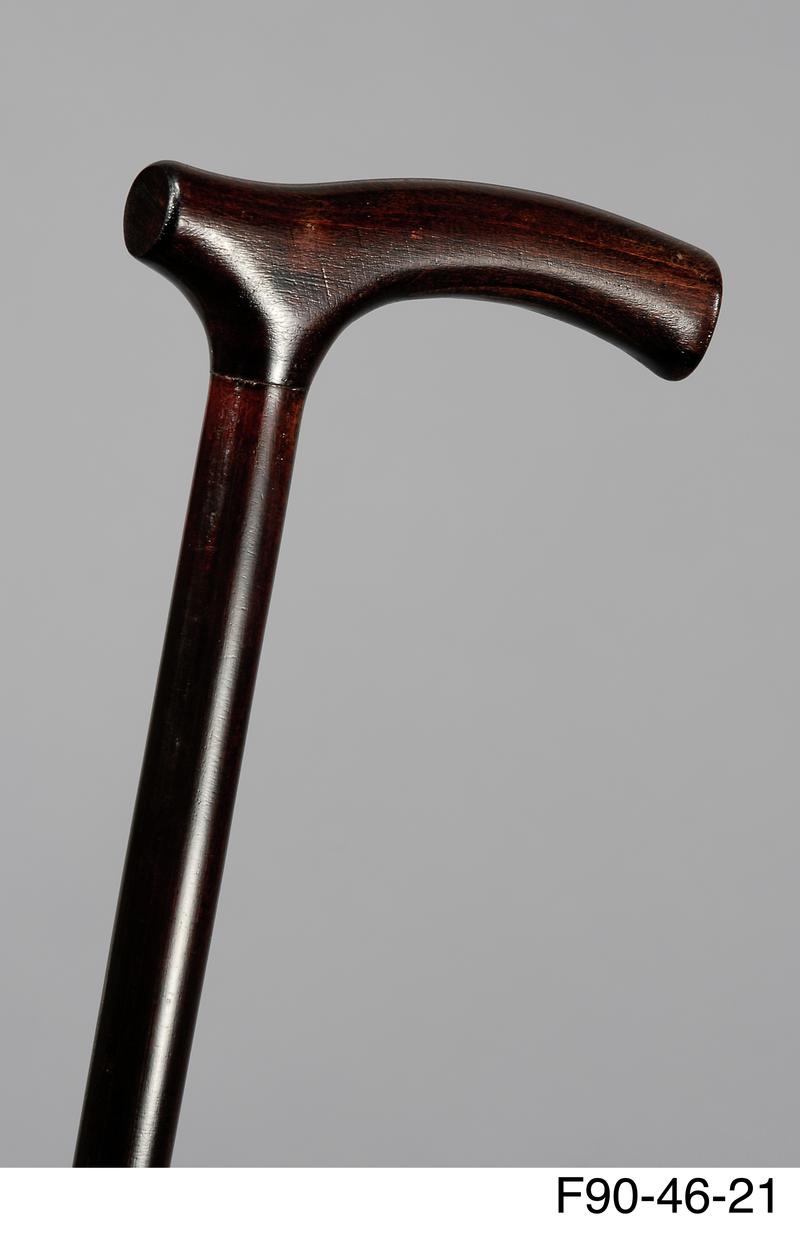 Walking stick