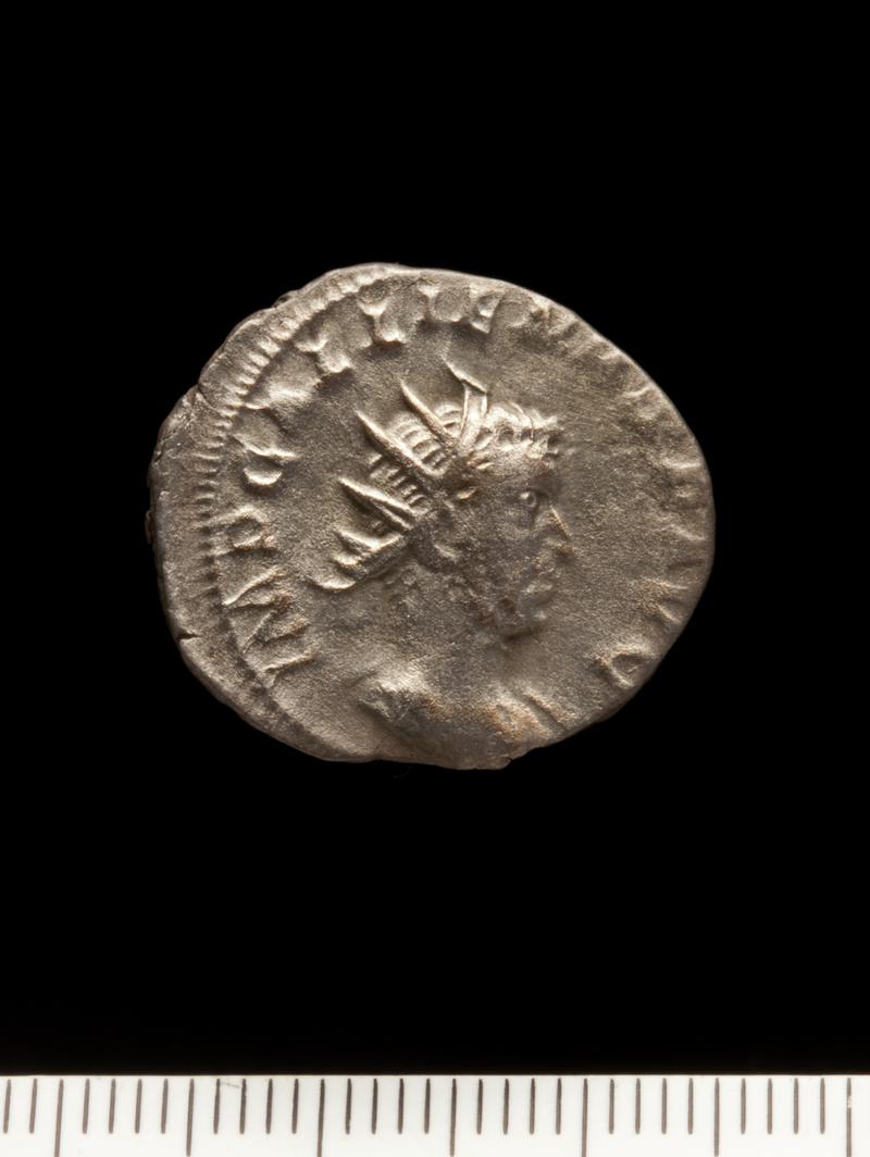 Sully Hoard I (1899)