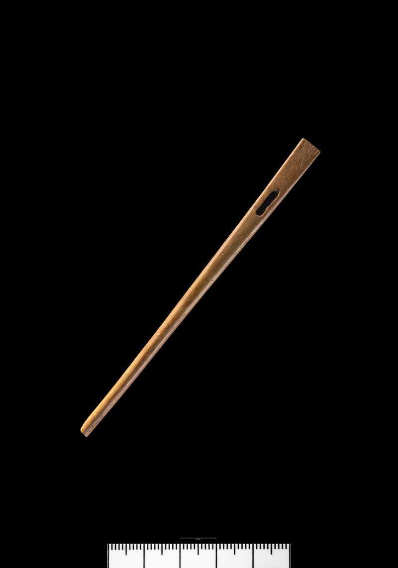 Roman bone needle