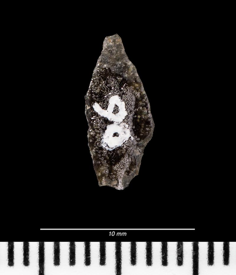 Mesolithic chert microlith