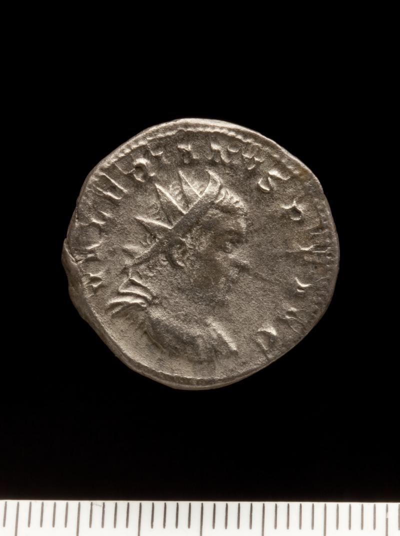 Sully Hoard I (1899) Radiate Valerian II