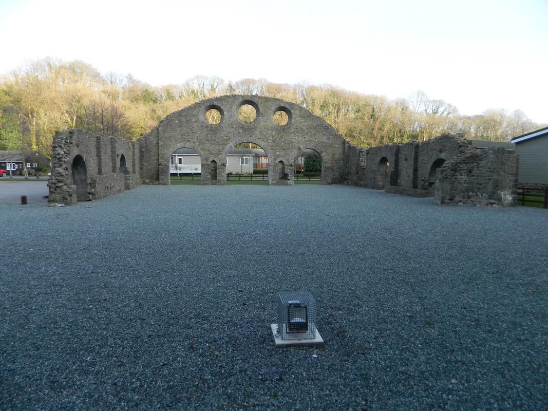 Kilgetty Ironworks, Stepaside: interior of cast house viewed from east; surviving fragment of no.2 blast furnace is on the right in middle distance.