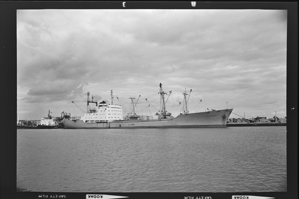 M.V. CASSARATE, negative