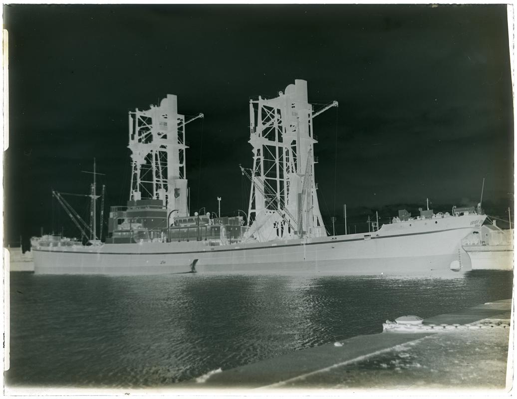 S.S. IRISH SPRUCE, glass negative