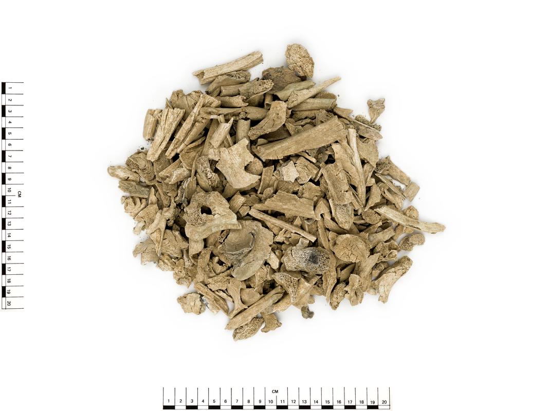 Bronze Age cremated human bones