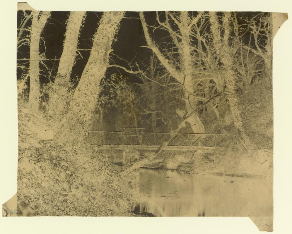 Penllergare, river above upper lake, negative