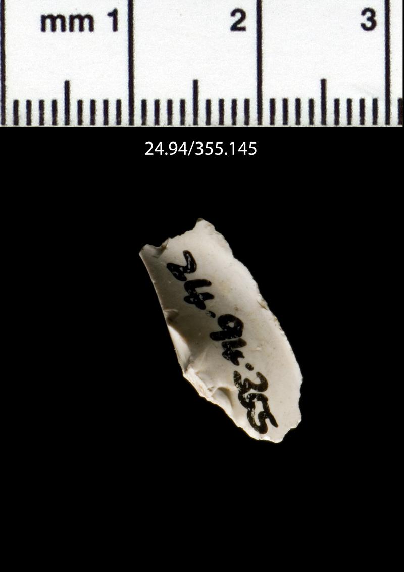 Upper Palaeolithic flint debitage