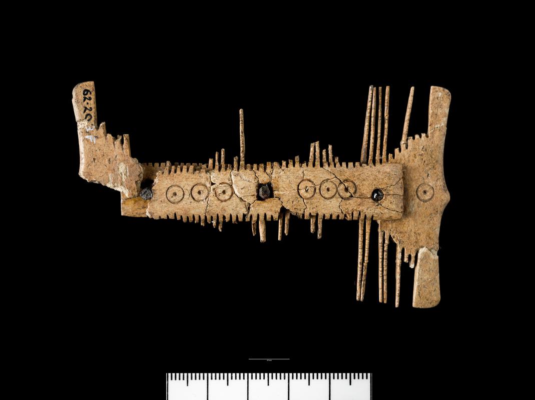 Early Medieval bone comb