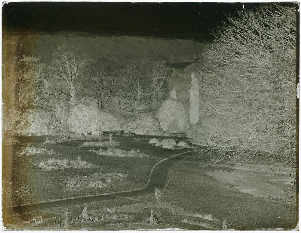 Penllergare, garden, negative