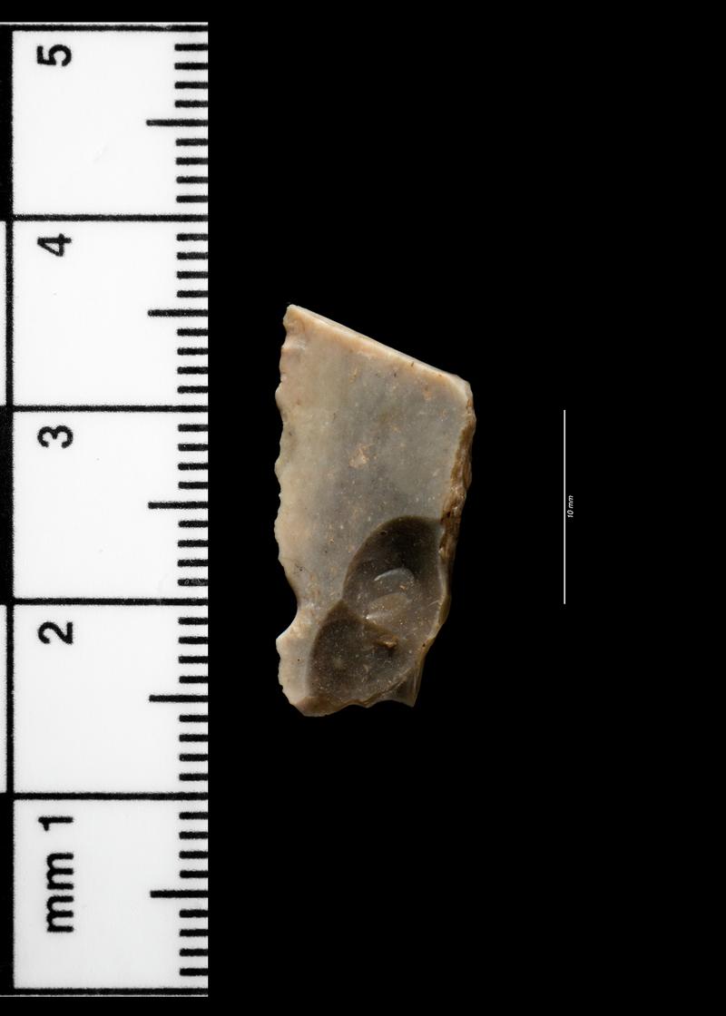 Upper Palaeolithic flint backed blade