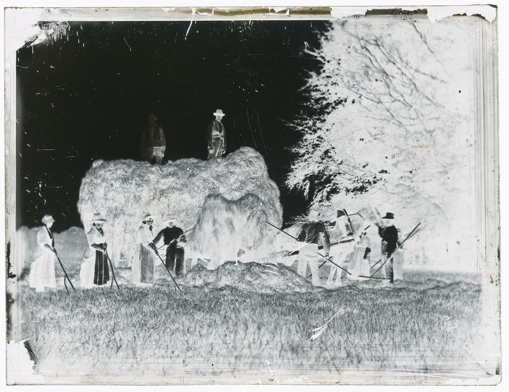 Haymakers, glass negative