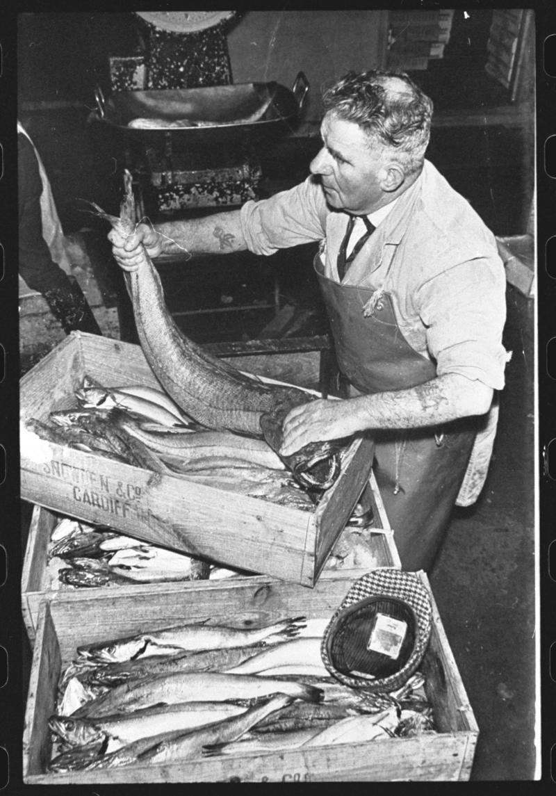 Cardiff Docks, negative