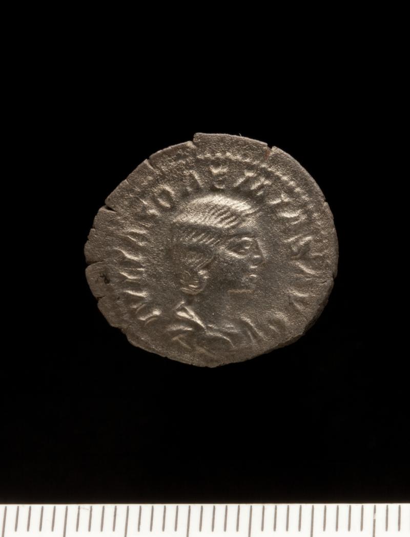 Sully Hoard I (1899) Denarius Julia Soaemius