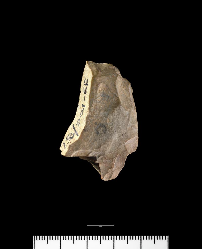 Neolithic stone axehead roughout