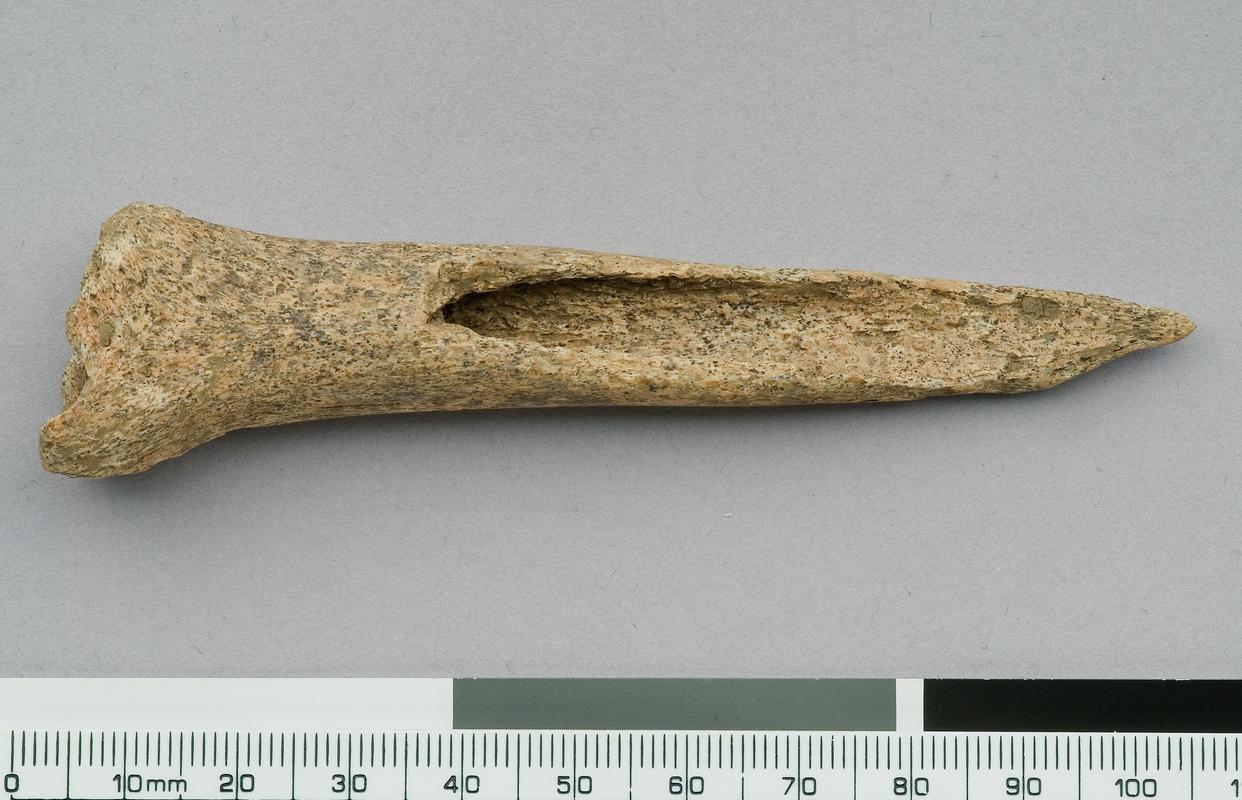 Middle Bronze Age bone awl