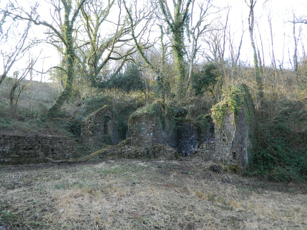 Grove Colliery, Stepaside: remains of offices and workshops at west end of site, viewed from east.