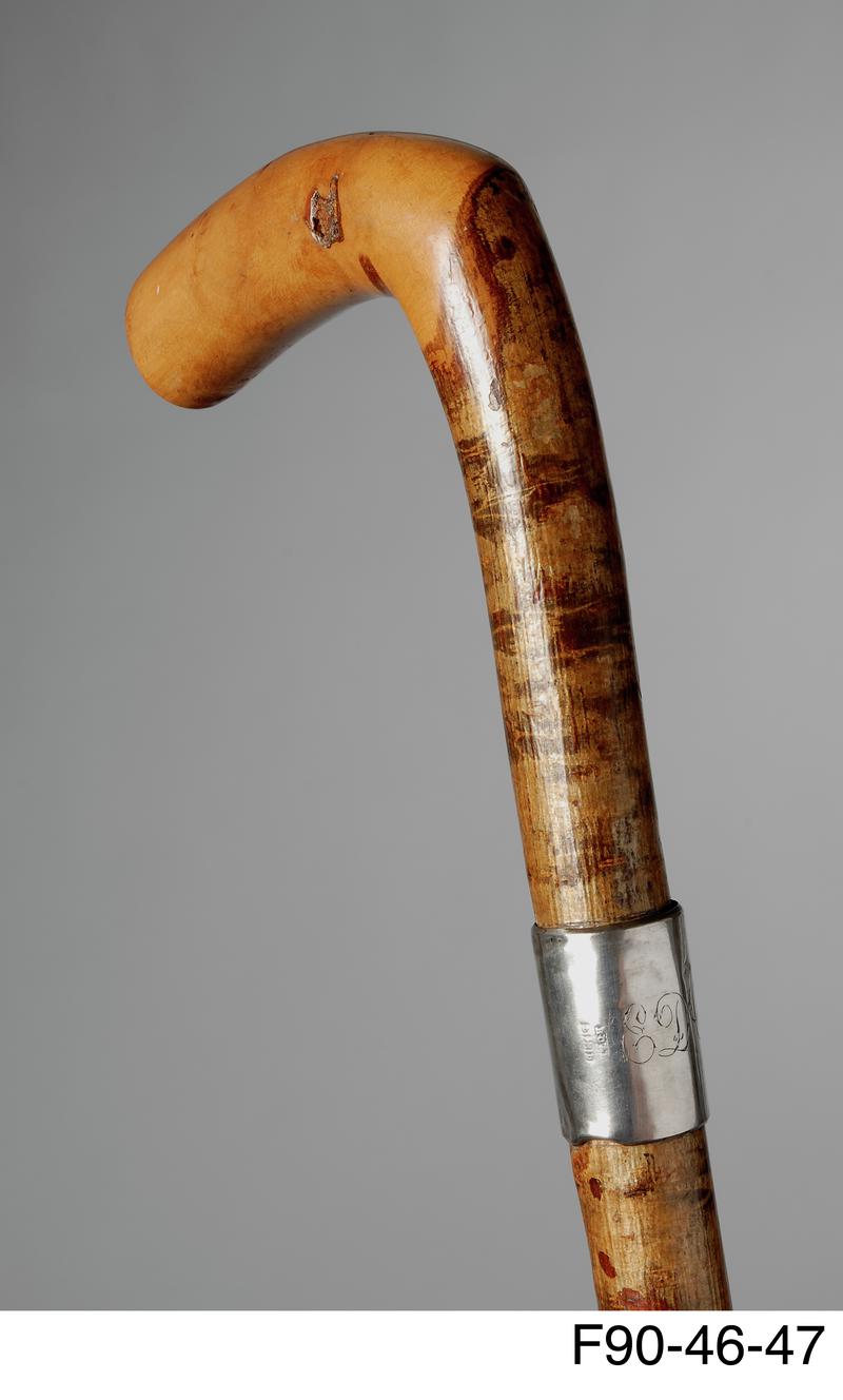 Walking stick