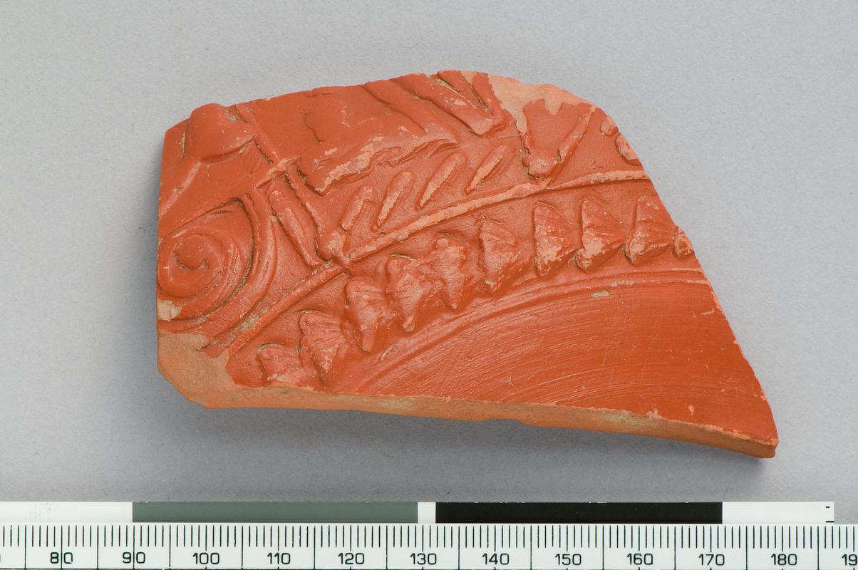 decorated samian bowl, body sherd