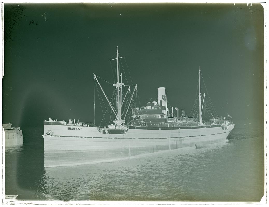 S.S. IRISH ASH, glass negative