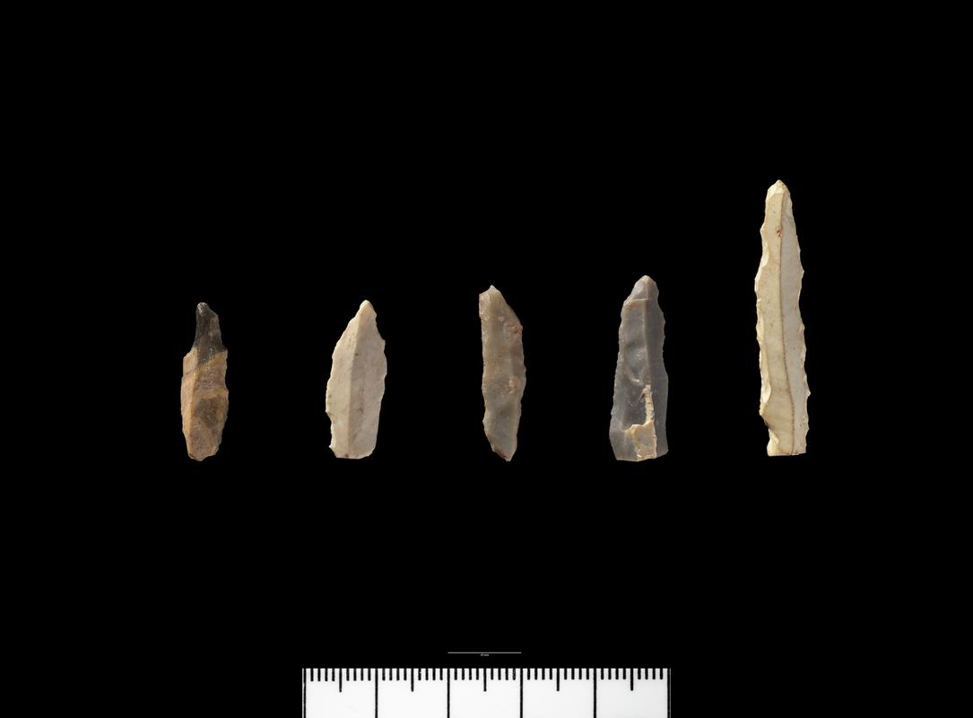 Early Mesolithic flint meche de foret