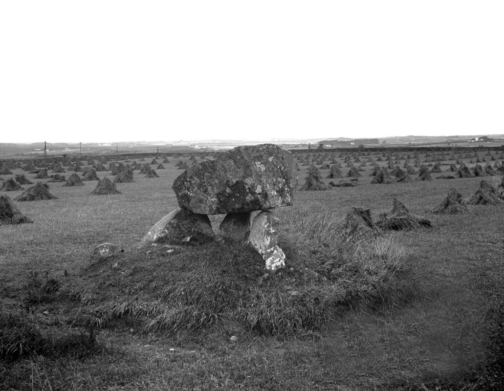 Photographic Negative