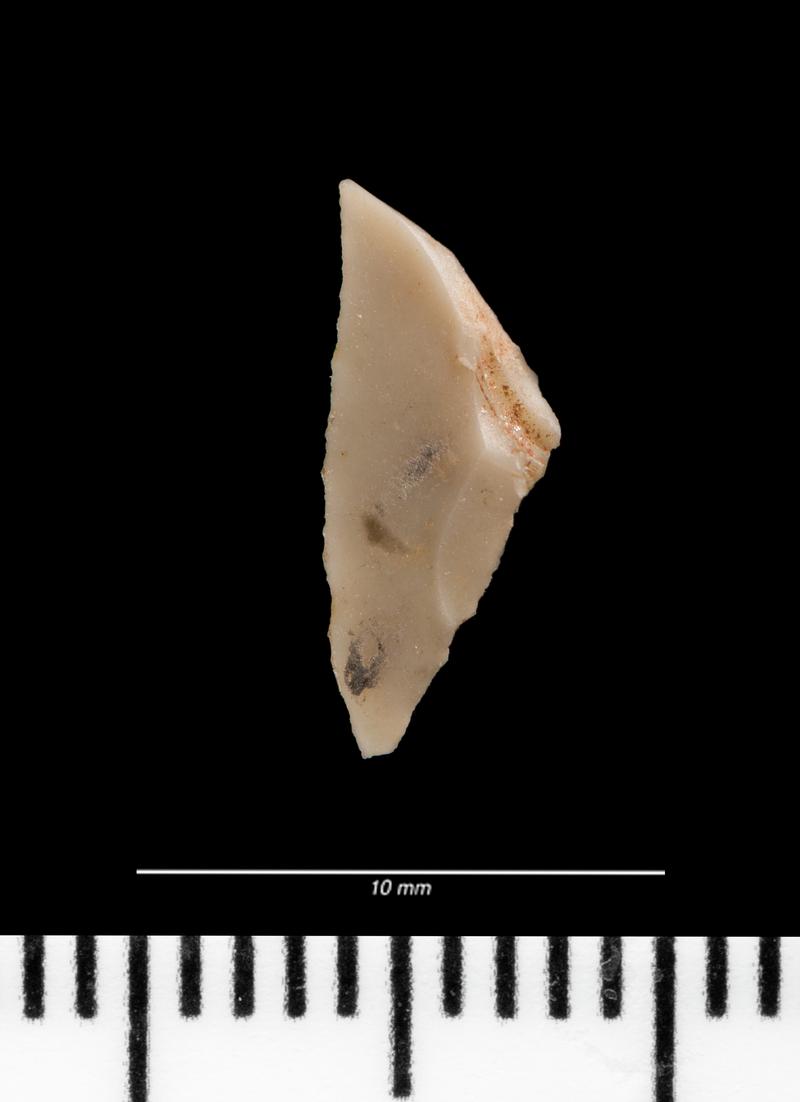 Late Mesolithic flint microlith