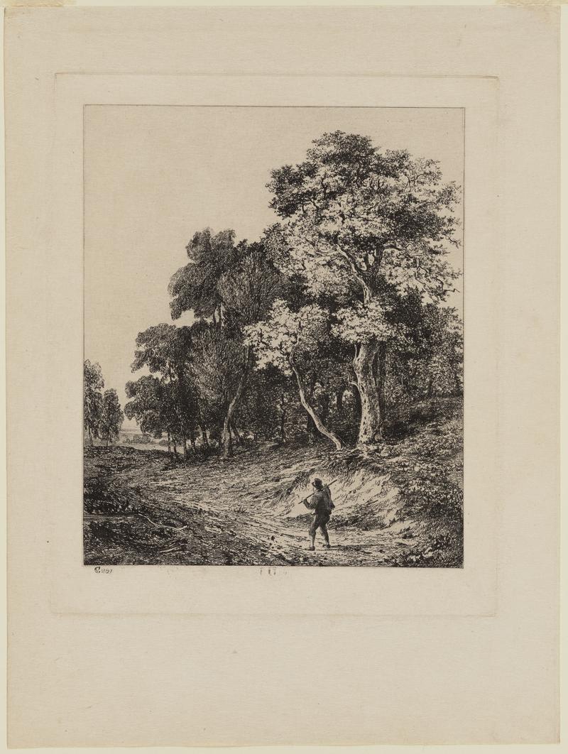 Group of Trees with Figure in Roadway