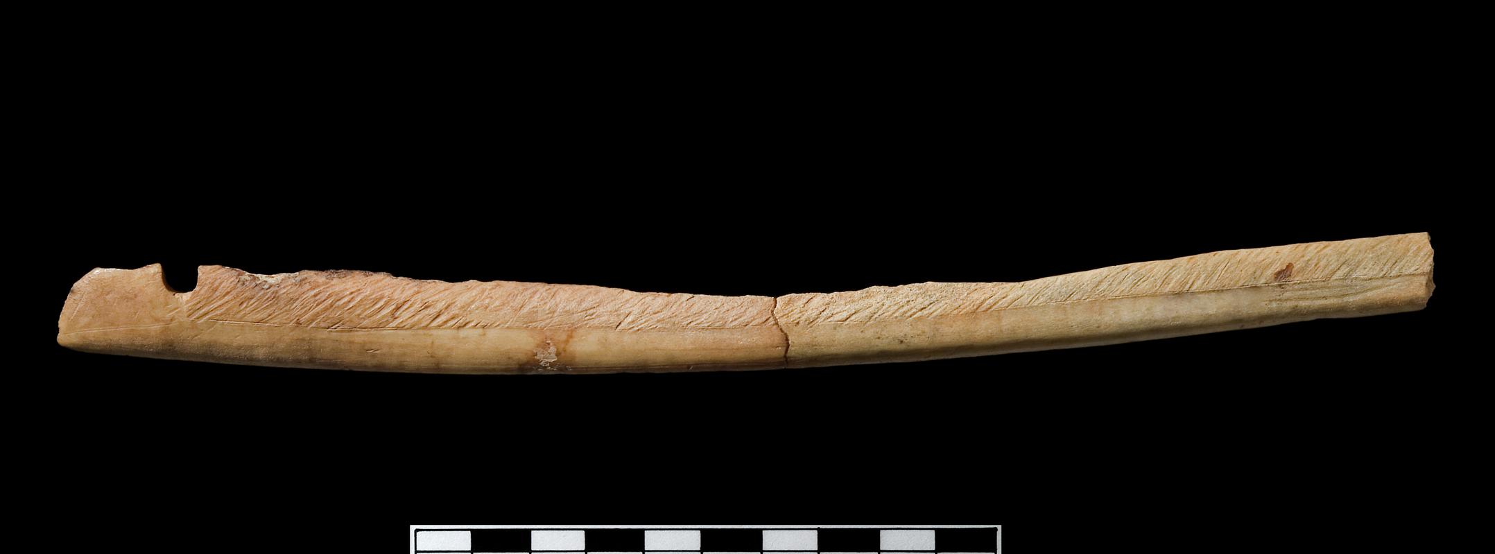 Roman bone ear lath