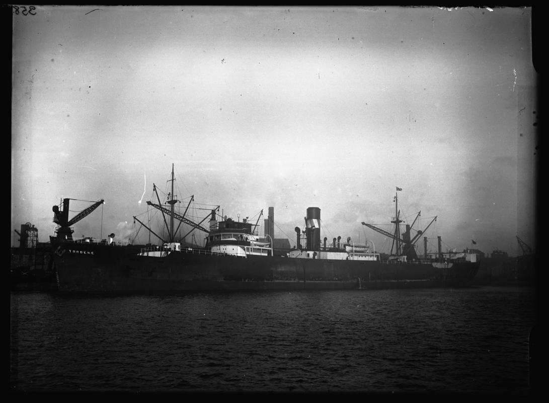 S.S. TORDENE, glass negative