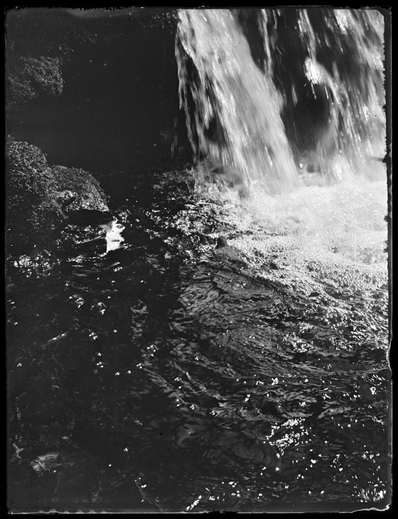 Dipper, glass negative
