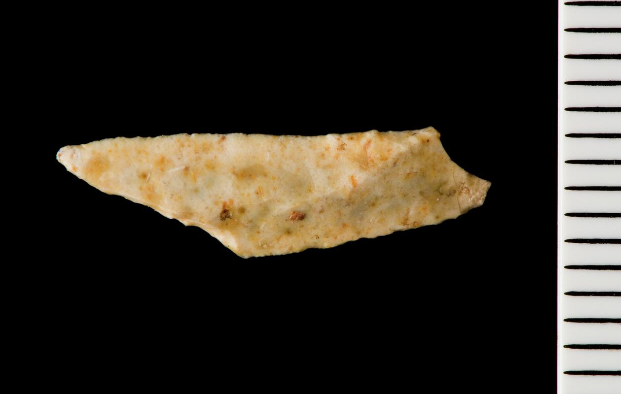 Late Mesolithic flint microlith