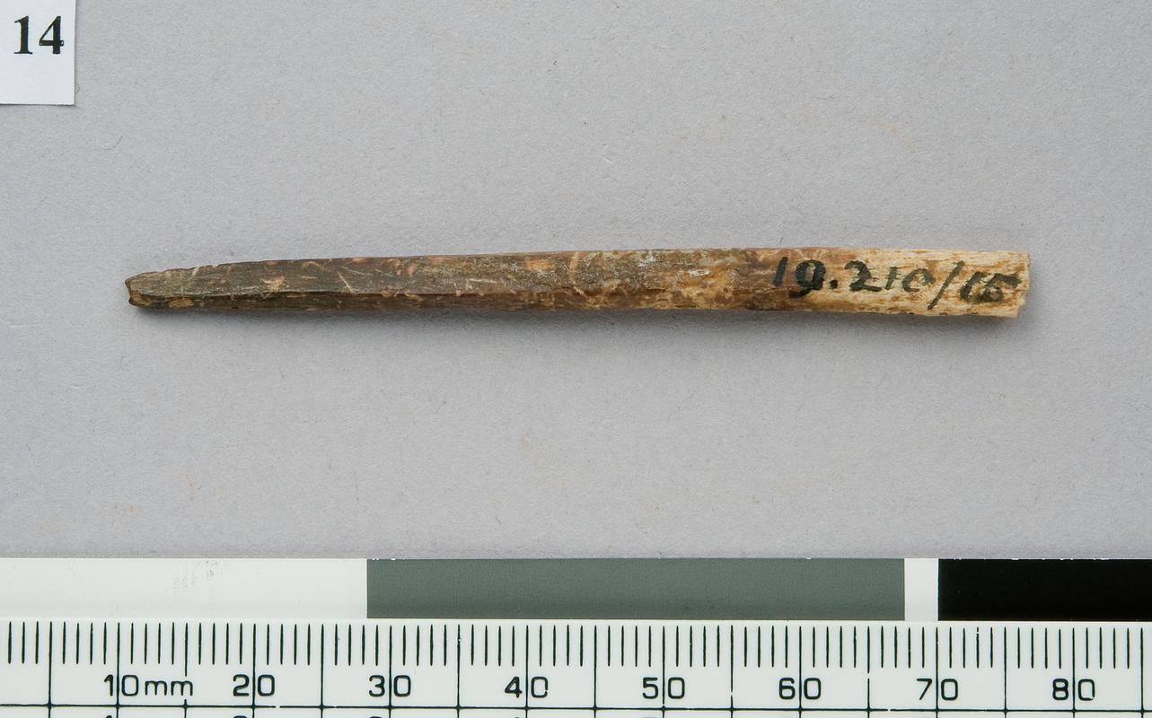 Neolithic bone pin