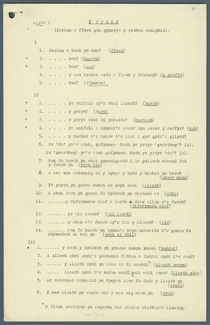 Holiadur | questionnaire