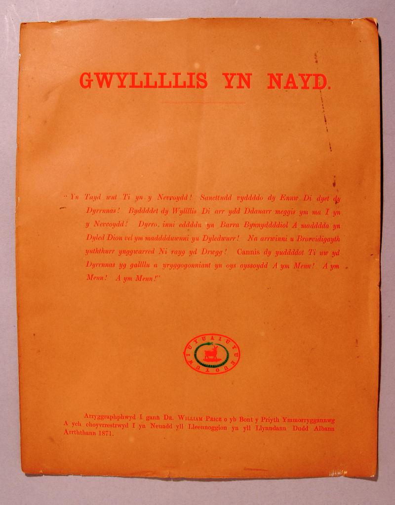 Gwyllllis yn nayd